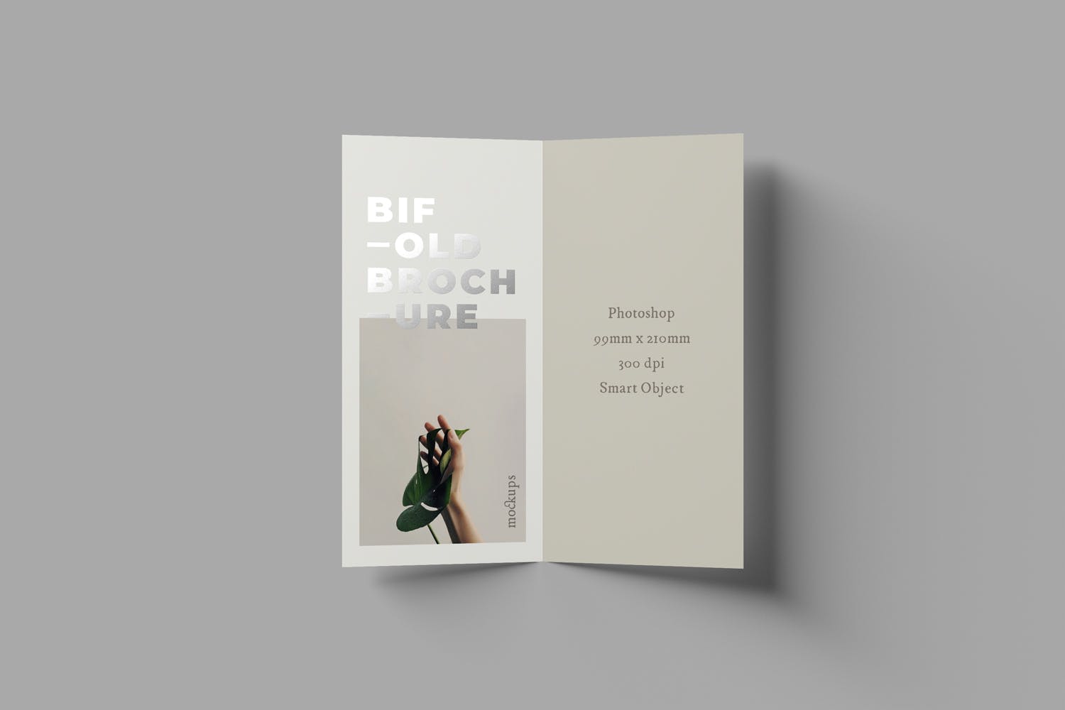 优雅设计风格折页宣传册设计图样机模板 Bifold DL Brochure Mockups设计素材模板