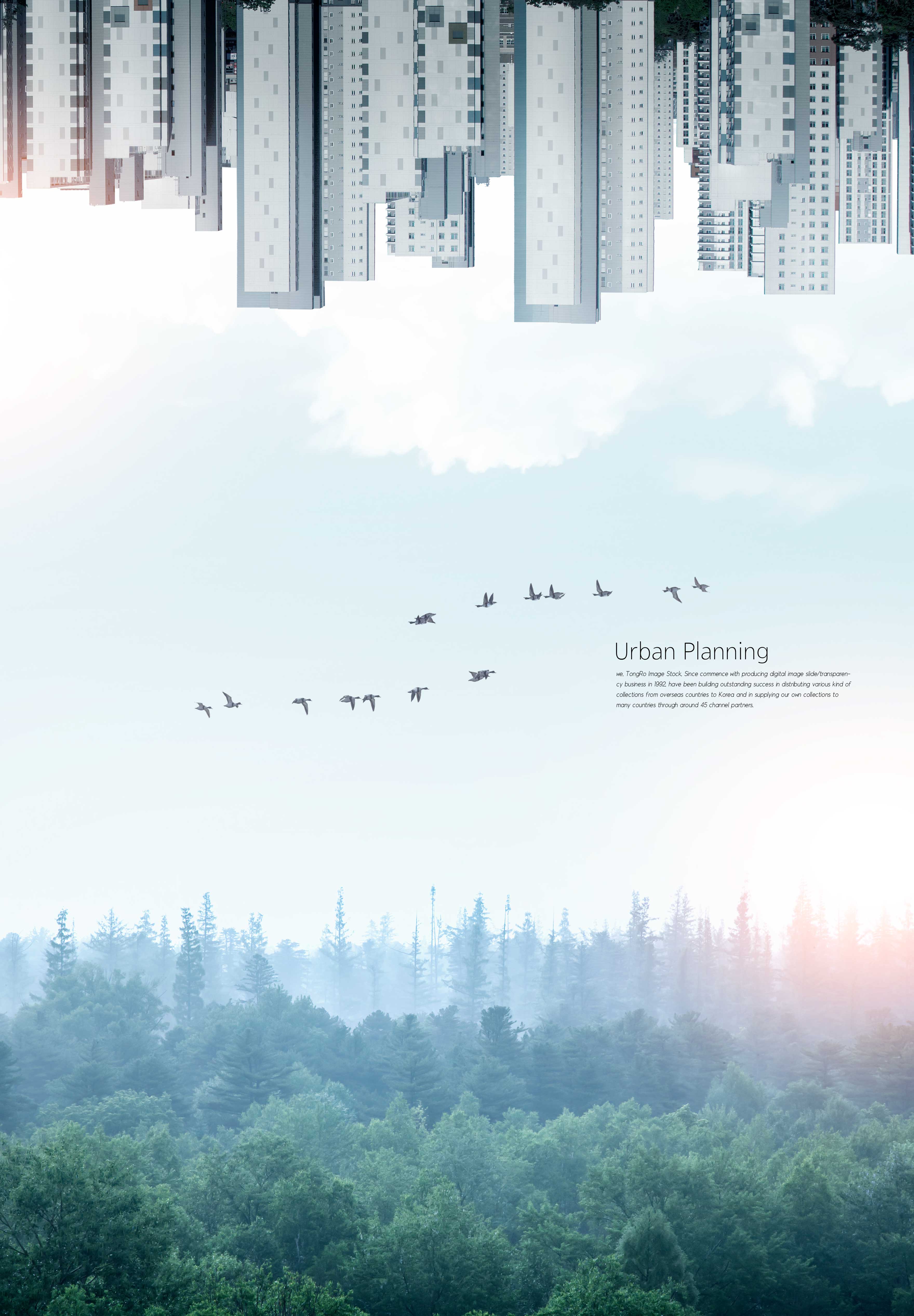 清晨山林&城市翻转海报设设计素材模板