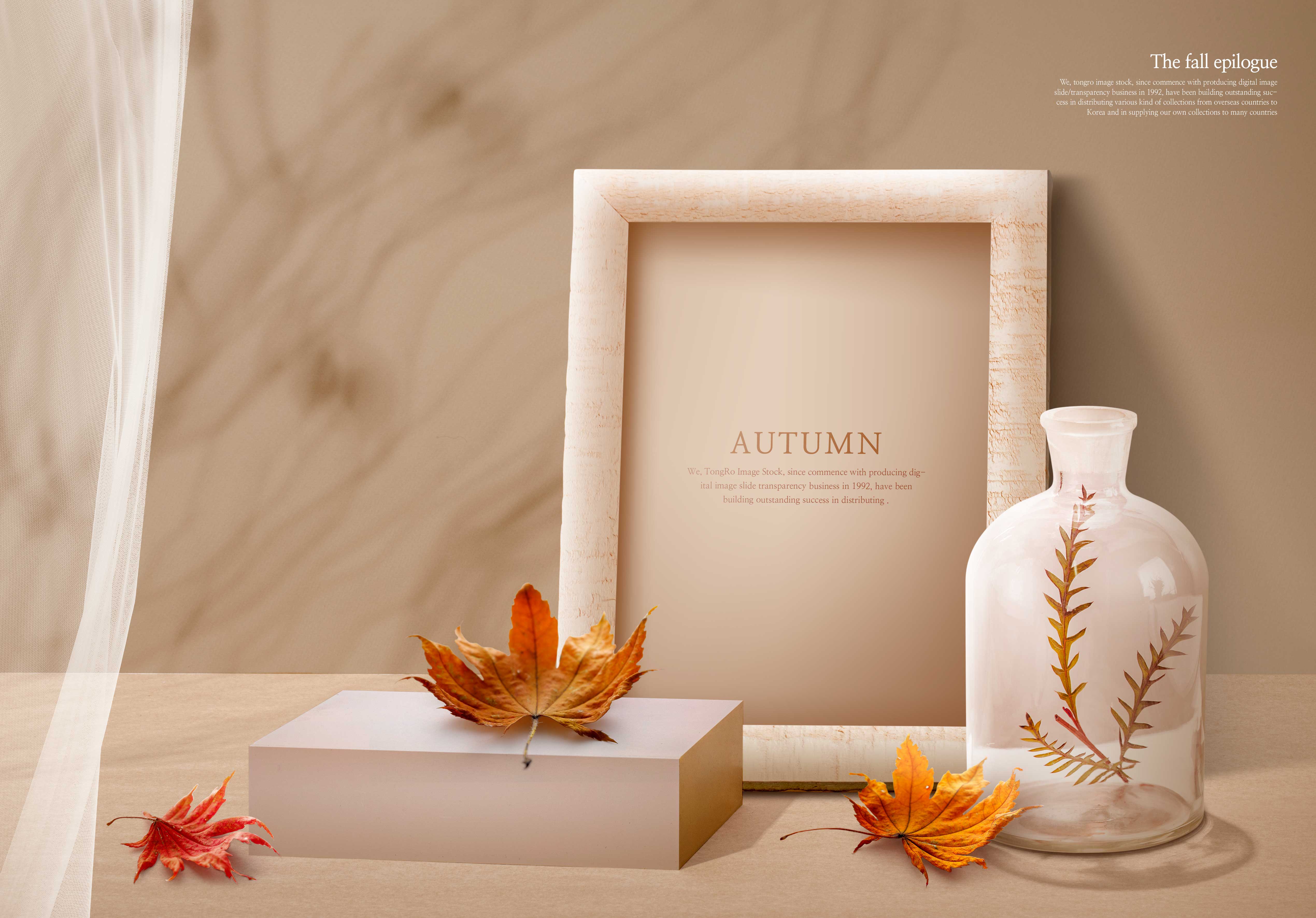 秋季主题图形海报设计韩国素材设计素材模板