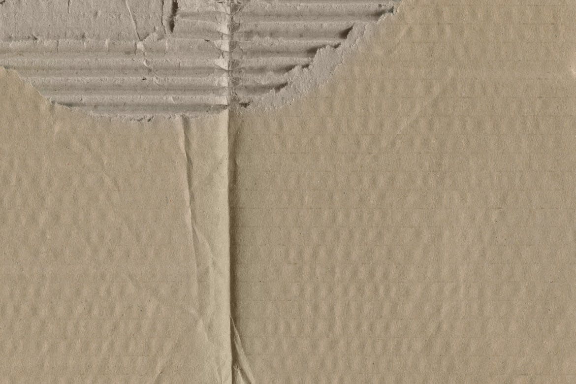 纸箱纸板材质纹理素材 Damaged Cardboard Textures设计素材模板