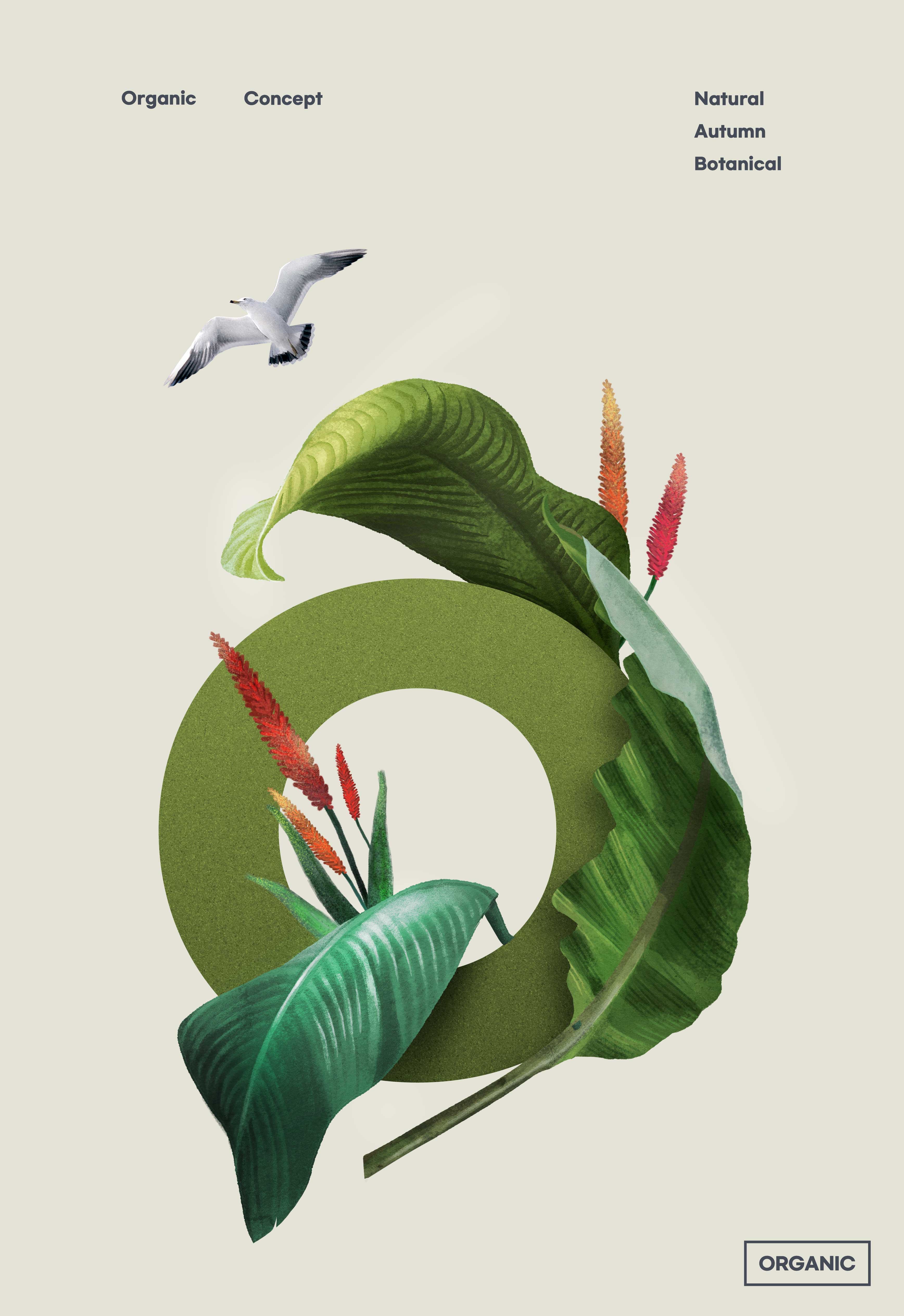 “O”字母环保有机生态环境主题海报设计模板设计素材模板