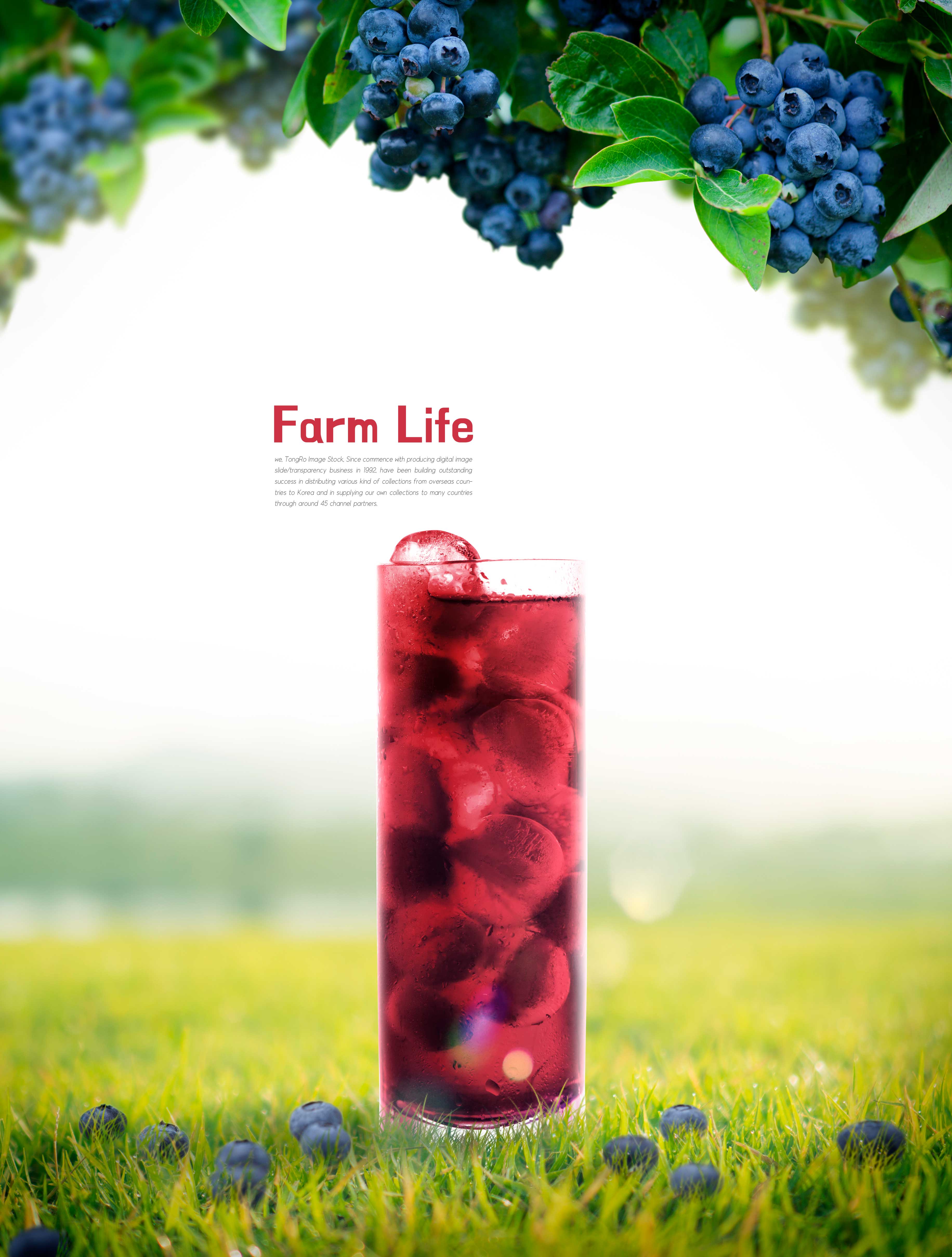 蓝莓果汁宣传海报设计模板设计素材模板