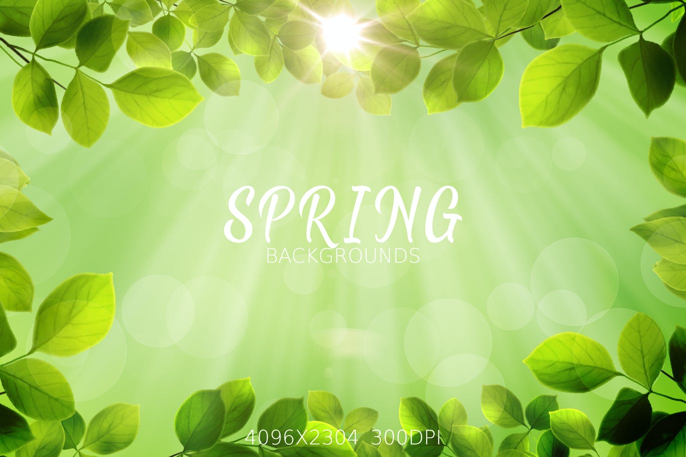 春天气息的树叶背景图素材 Spring Leaves Backgrounds设计素材模板