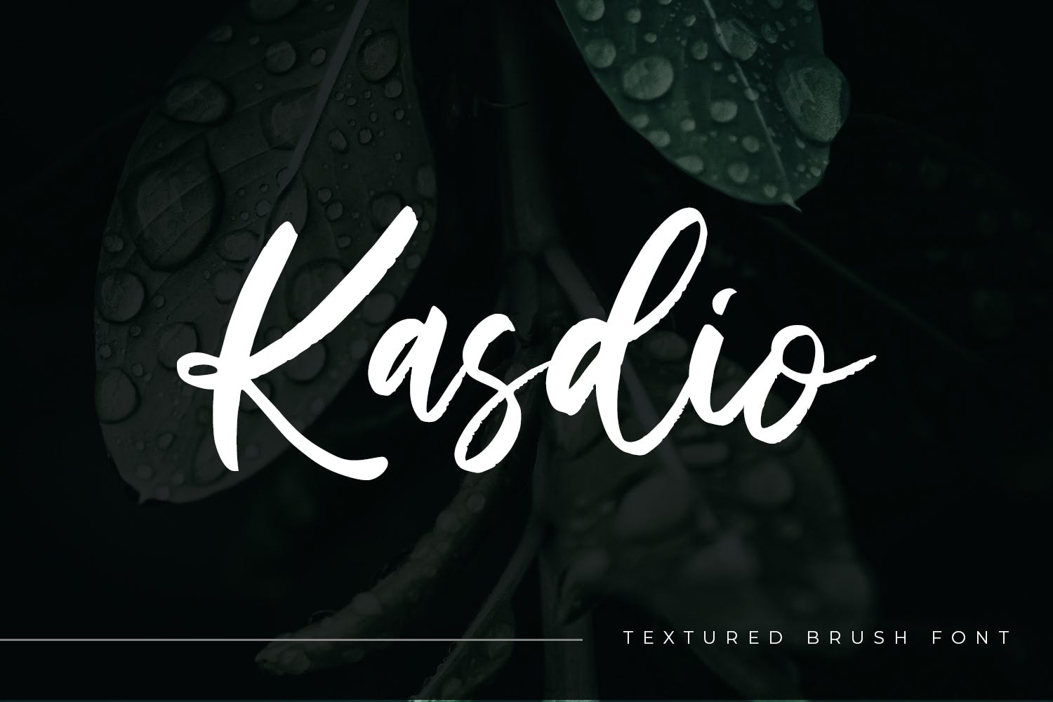 手写风格英文笔刷字体合集 Kasdio – Casual Brush Font设计素材模板