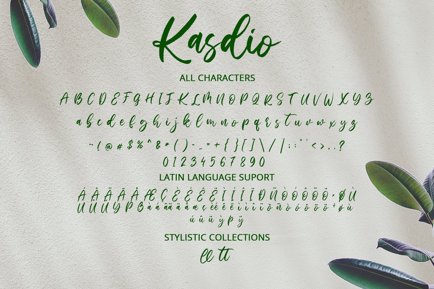 手写风格英文笔刷字体合集 Kasdio – Casual Brush Font设计素材模板