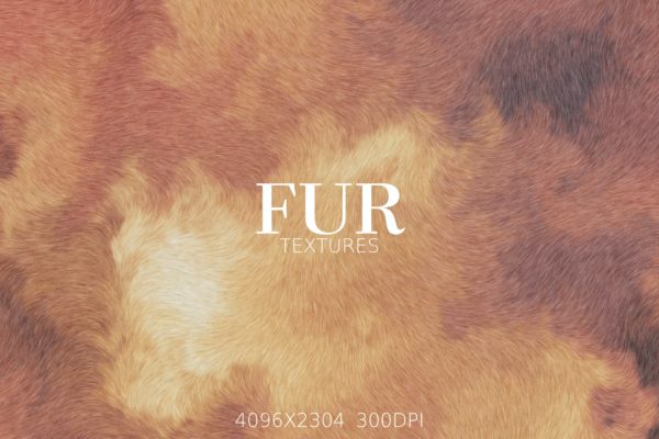 毛皮抽象纹理高清背景图素材 Abstract Fur Textures and Backgrounds