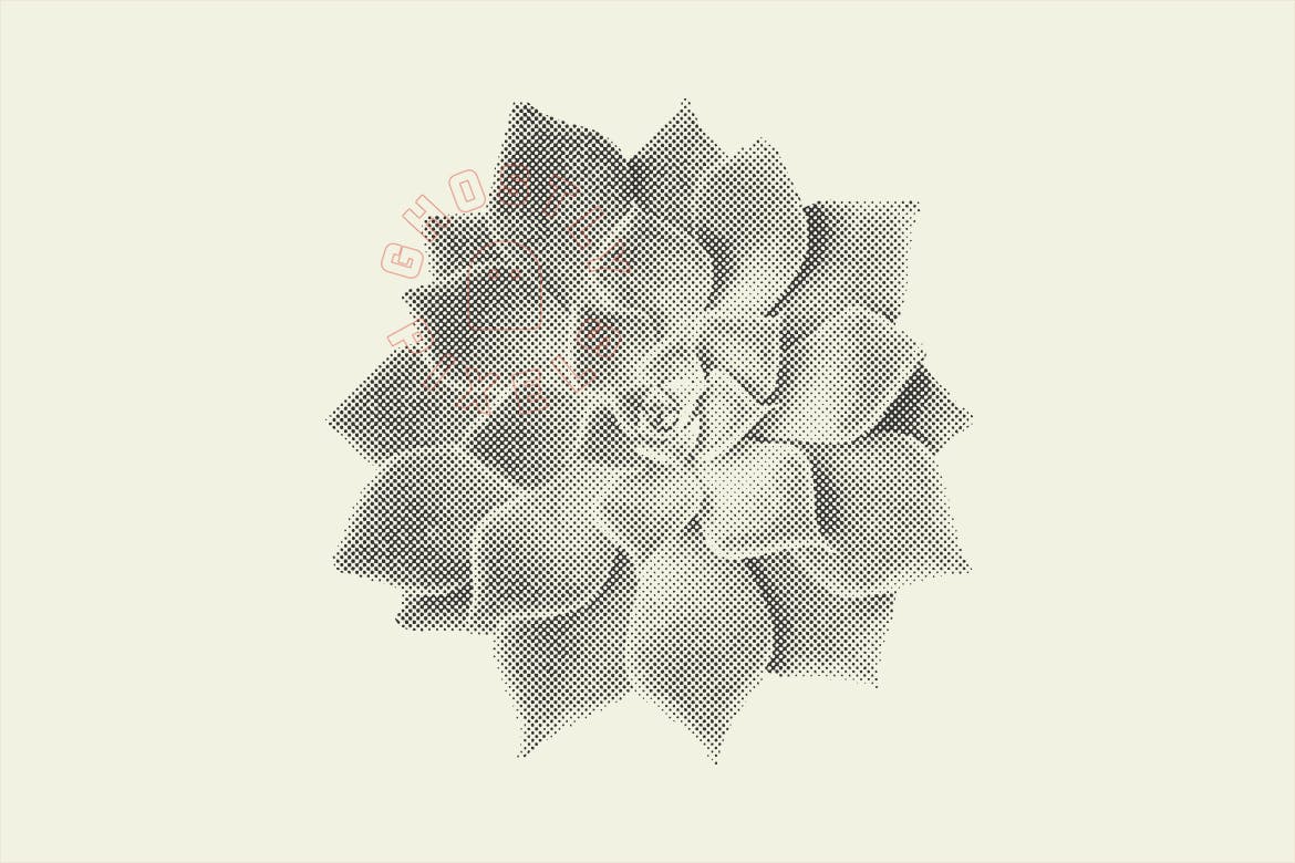 多肉植物元素半色调矢量纹理素材 Halftone Vector Succulents设计素材模板