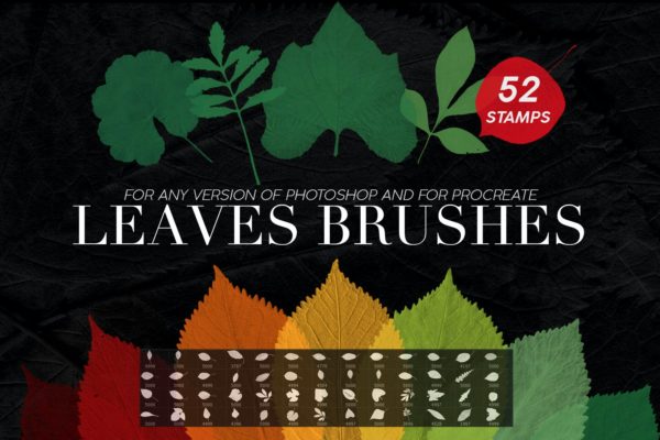 PS印章树叶图形笔刷合集 52 Leaves Photoshop Stamp Brushes