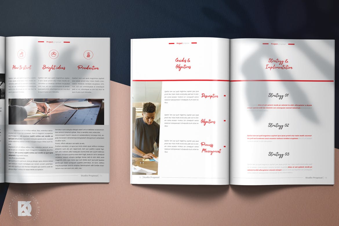 投标项目计划书版式设计模板 Proposal / Brochure设计素材模板