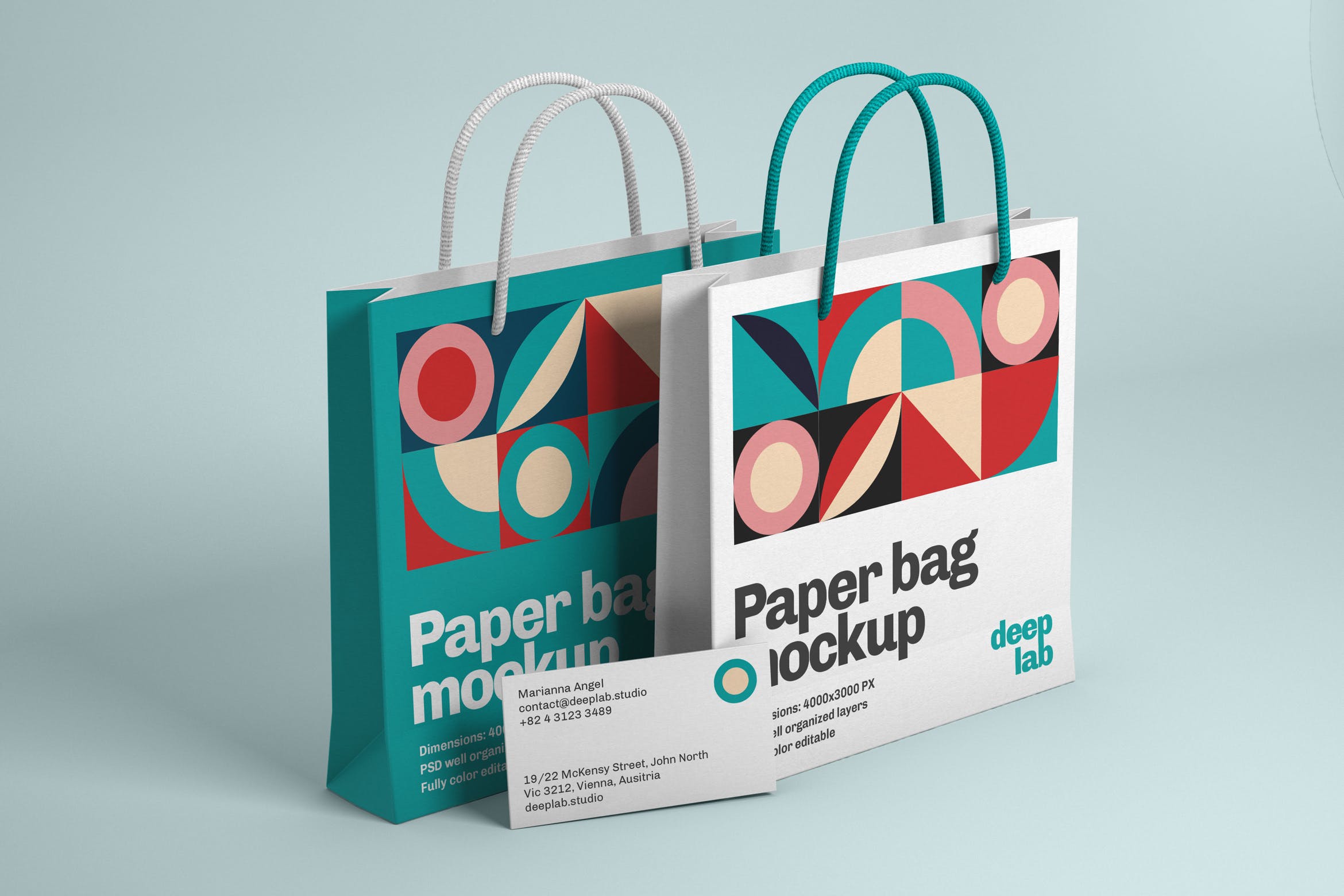名片&纸袋品牌设计左侧视图样机模板 Paper Bag and Business Card Branding Mockup设计素材模板