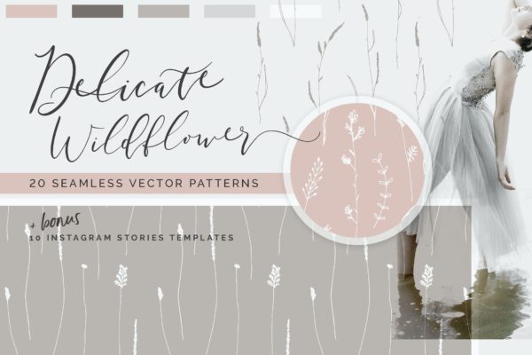 无缝矢量精美野花图案+Instagram故事模板 Wildflower Patterns + Templates