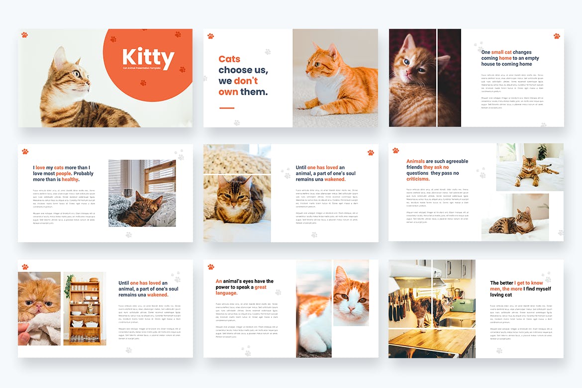 宠物店PPT介绍幻灯片模板 Kitty – Cat Animal Powerpoint Template设计素材模板