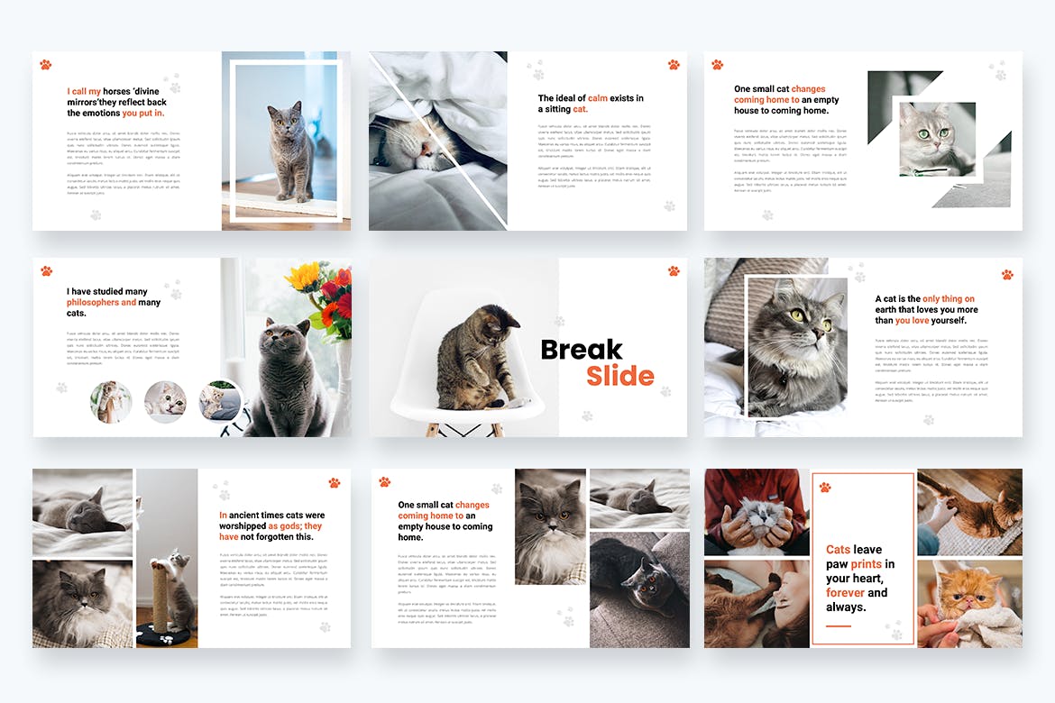 宠物店PPT介绍幻灯片模板 Kitty – Cat Animal Powerpoint Template设计素材模板