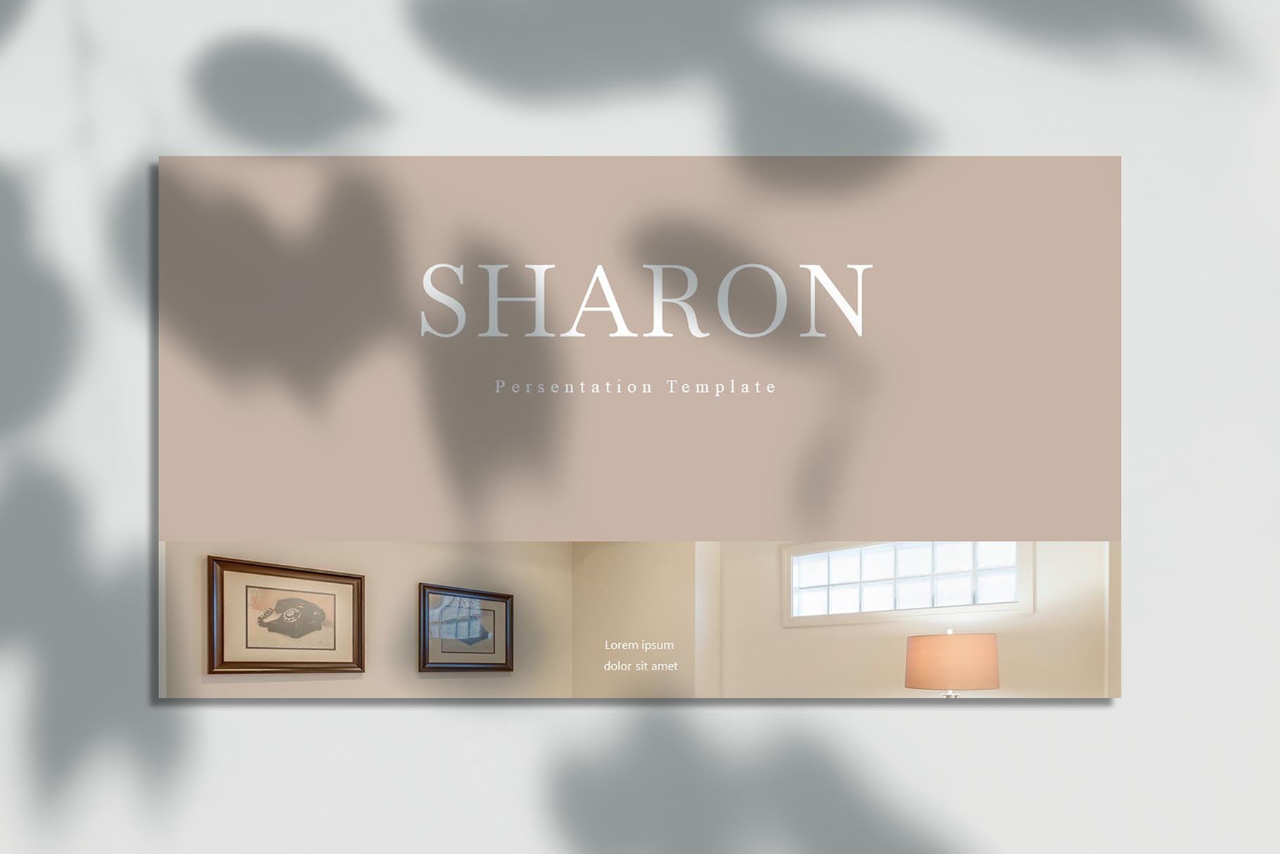 欧美风简洁时尚品牌产品展示PPT模板 Sharon – Powerpoint Template设计素材模板