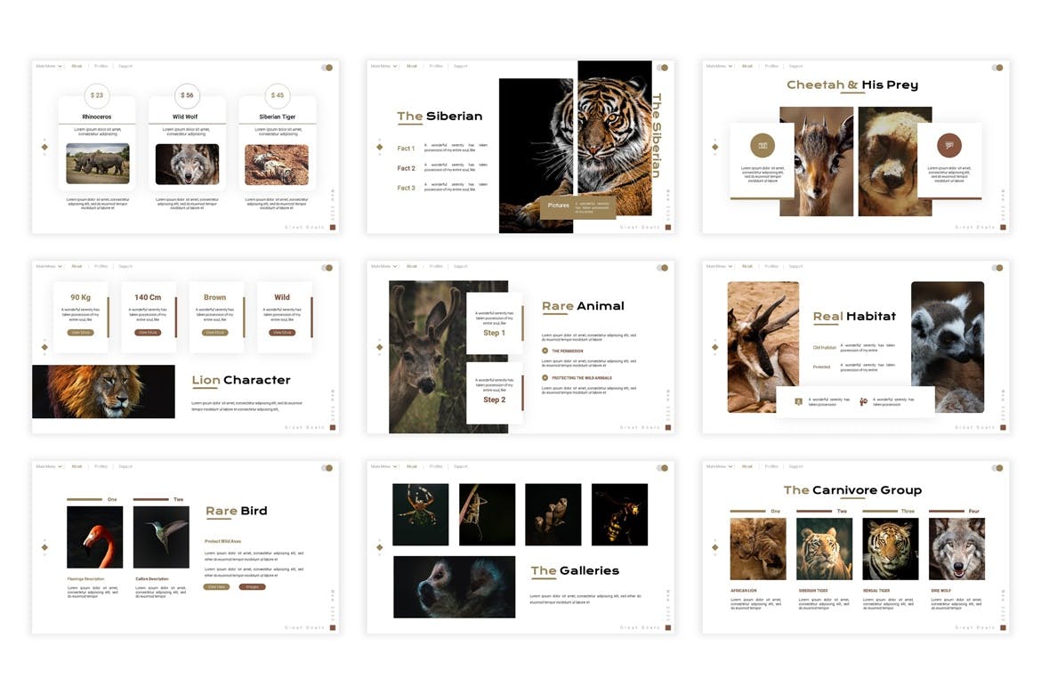 介绍野生动物种类PPT幻灯片模板素材 Wildernest Presentation Template设计素材模板