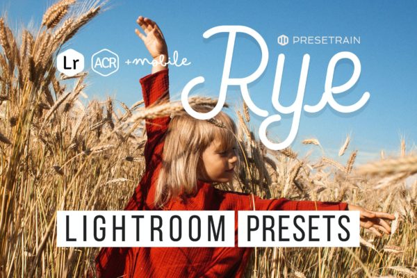 色调调校创意人像摄影LR预设 Rye Lightroom & ACR Presets