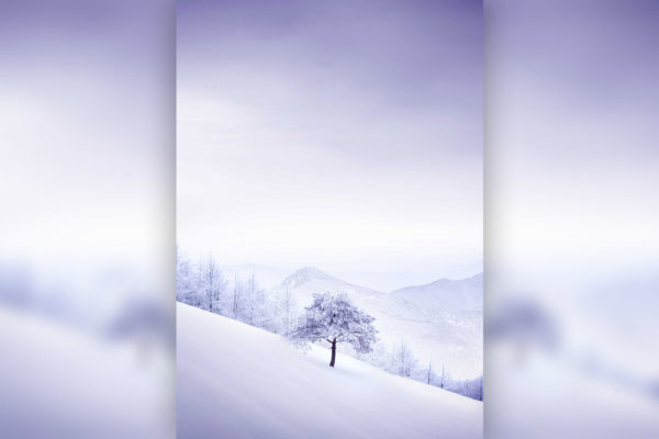 冬季背景雪山松林海报设计psd素材