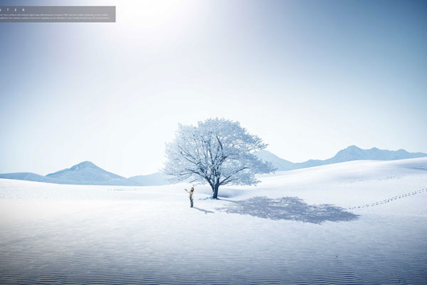 冬季旅行雪山白树推广主题背景图psd素材