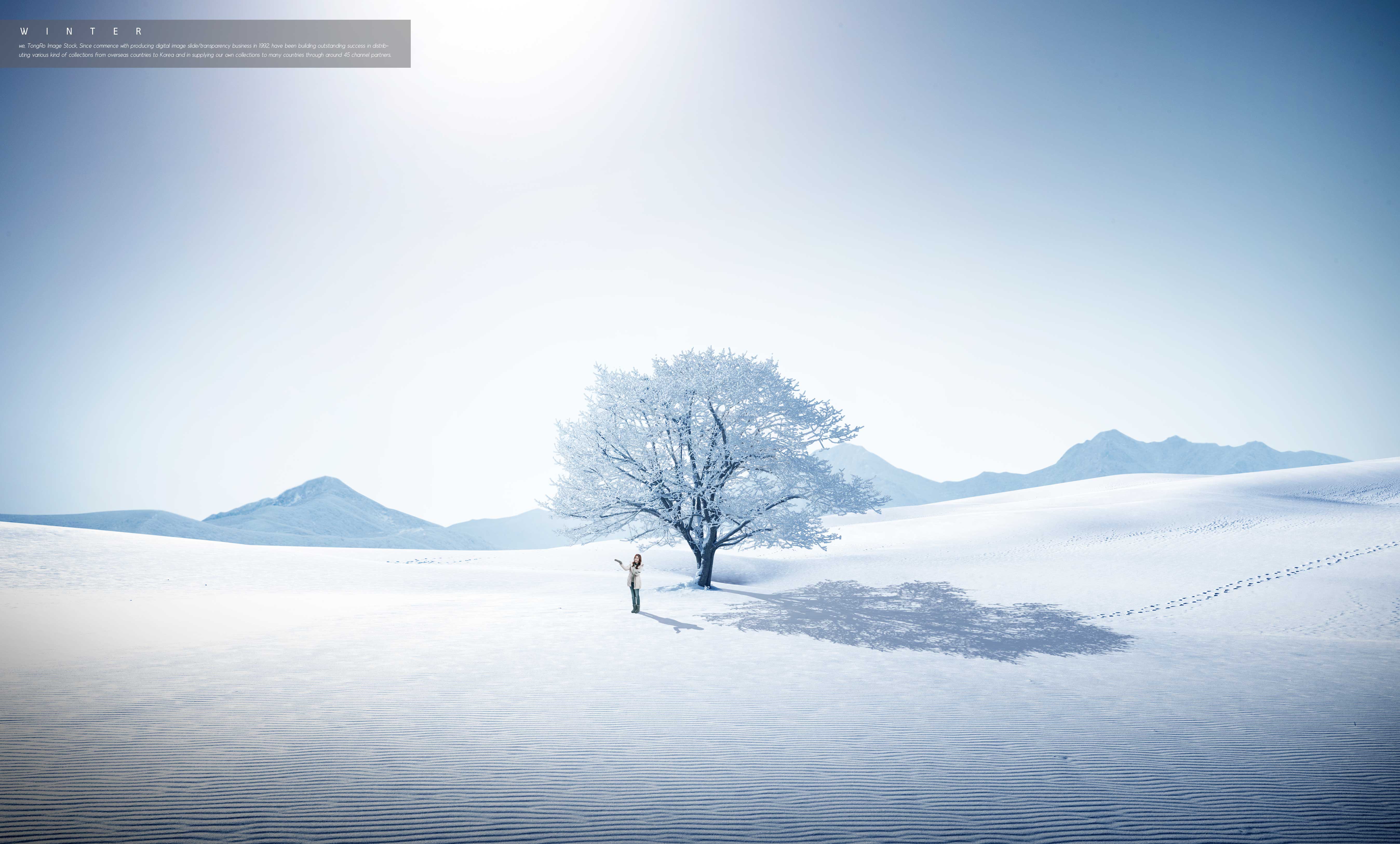 冬季旅行雪山白树推广主题背景图psd素材设计素材模板