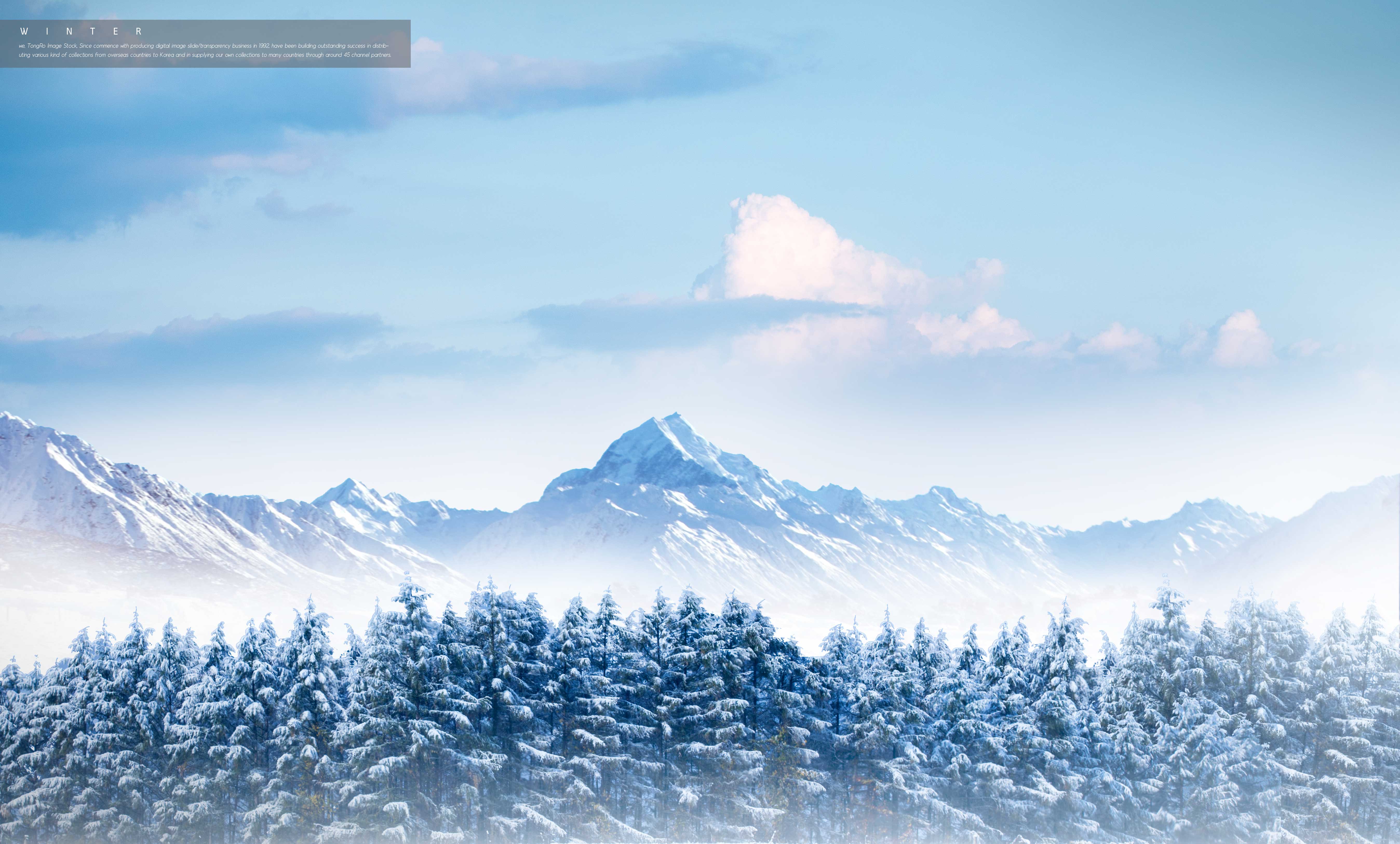 冬天的美景1920x1200 - 图片壁纸