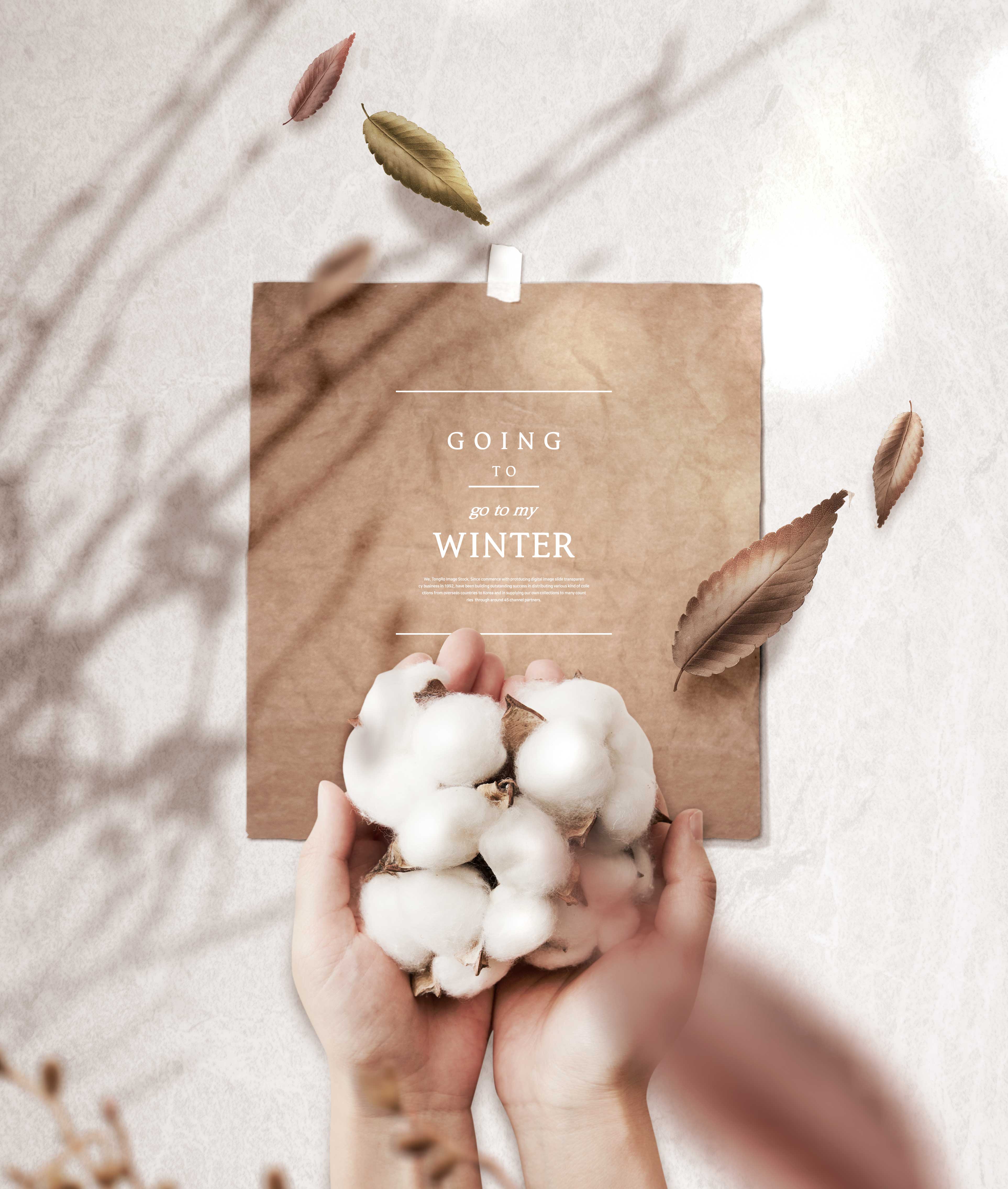 冬季主题手捧棉花暖心海报设计素材设计素材模板