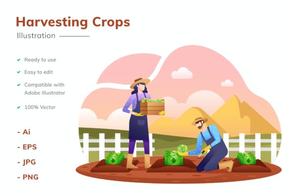 农作物收割场景矢量插画 Harvesting Crops Illustration