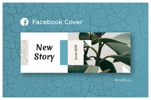 Facebook封面家居绿植Banner设计模板v9 Facebook Cover (Vol.9)
