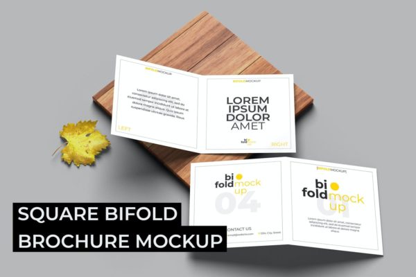 小册子方形双折设计样机 Square Bifold Brochure Mockup