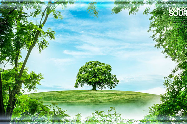 壁纸图片绿树蓝天美景曲屏psd素材