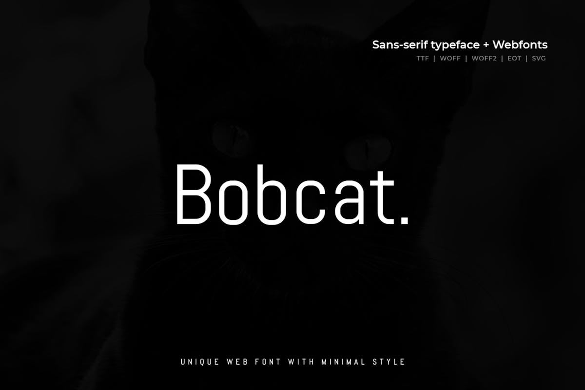 极简现代稳重猫系设计无衬线字体 Bobcat – Modern Typeface + WebFont设计素材模板