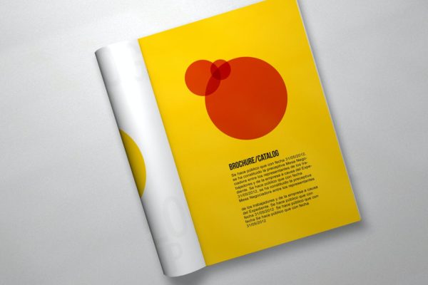 杂志/目录/产品手册效果图样机模板 Brochure Mockup