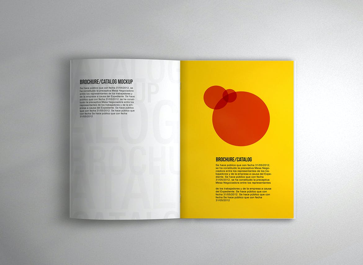 杂志/目录/产品手册效果图样机模板 Brochure Mockup设计素材模板