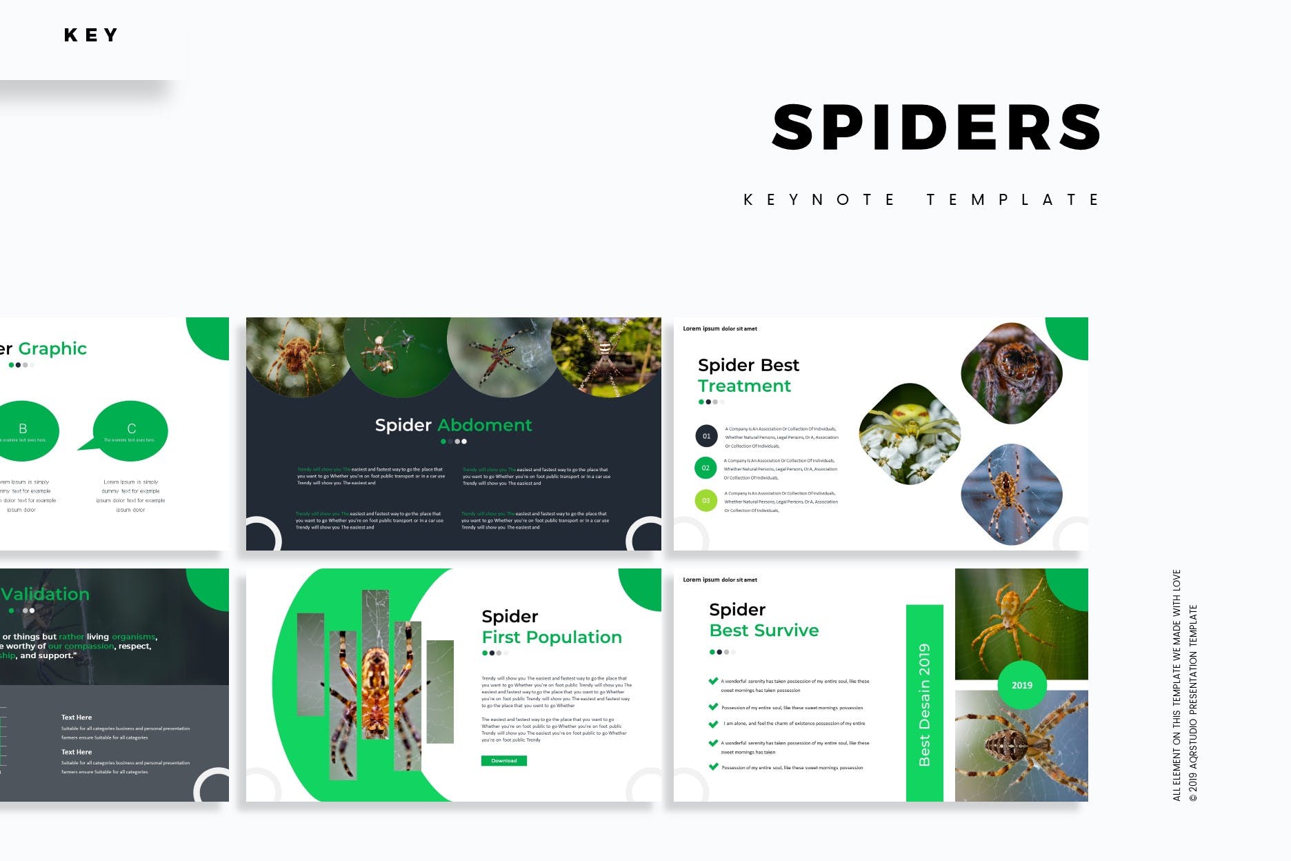 幻灯片蜘蛛节肢动物Keynote模板下载 Spiders – Keynote Template设计素材模板
